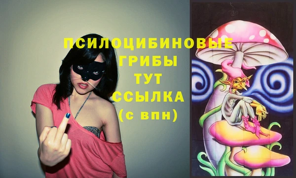 твердый Покачи