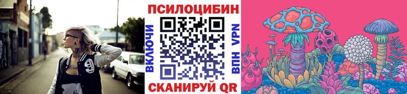 Купить  Ульяновск  Галлюциногенные грибы Psilocybe 
