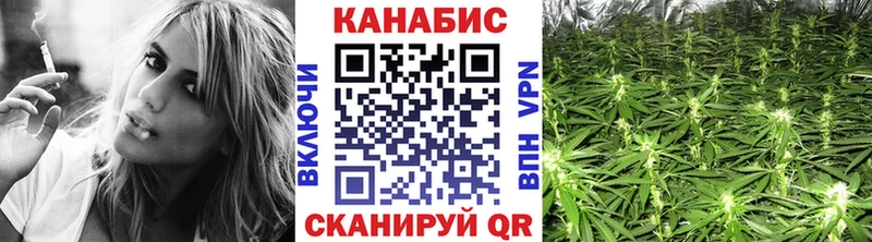 Купить  Ульяновск  Каннабис ГИДРОПОН 